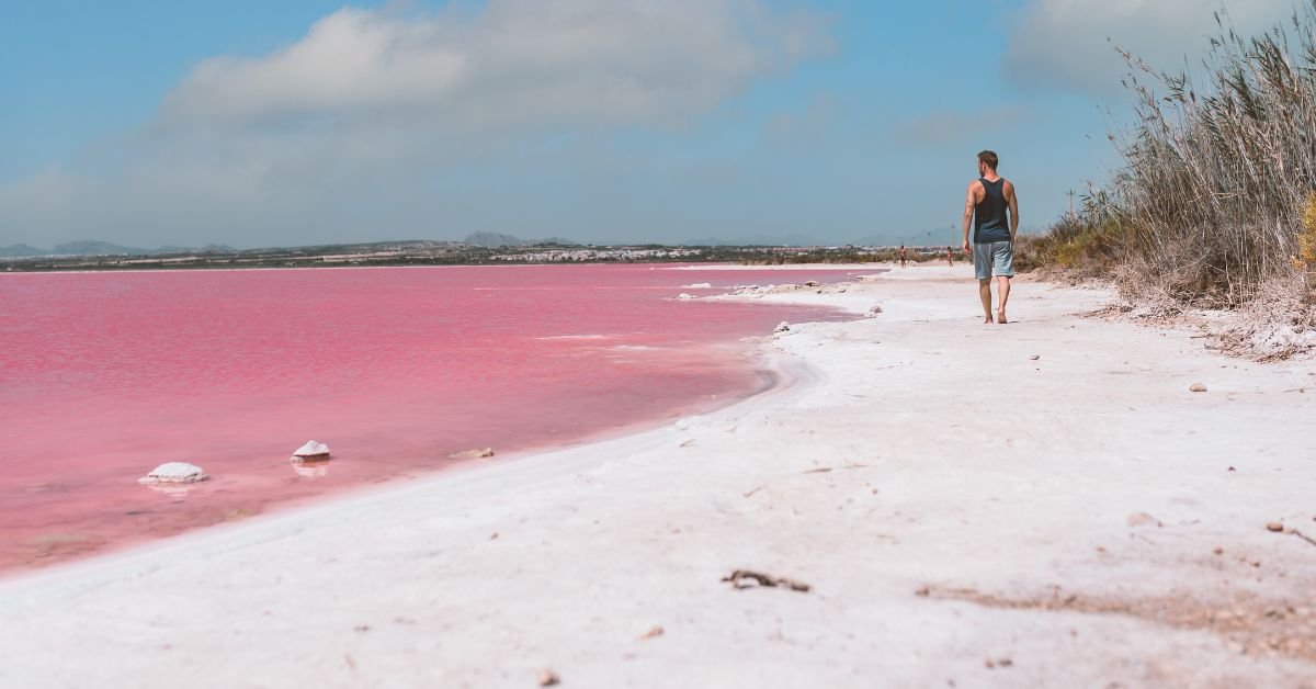 Blush Waters