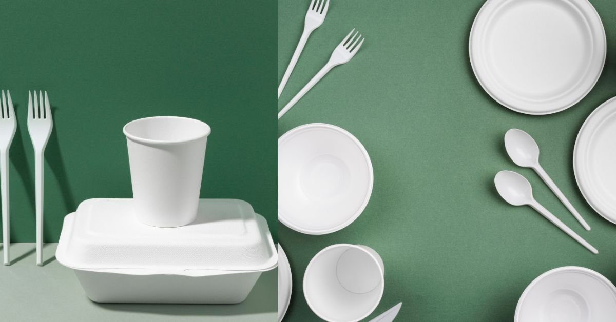 Disposable Tableware