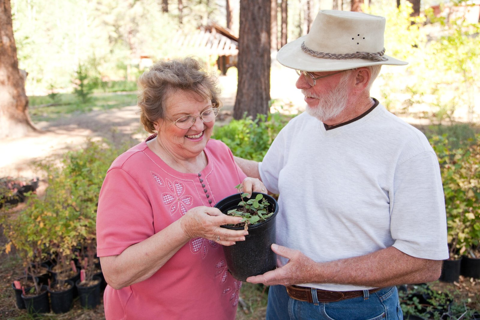 Energizing Routines to Boost Senior Wellness Daily