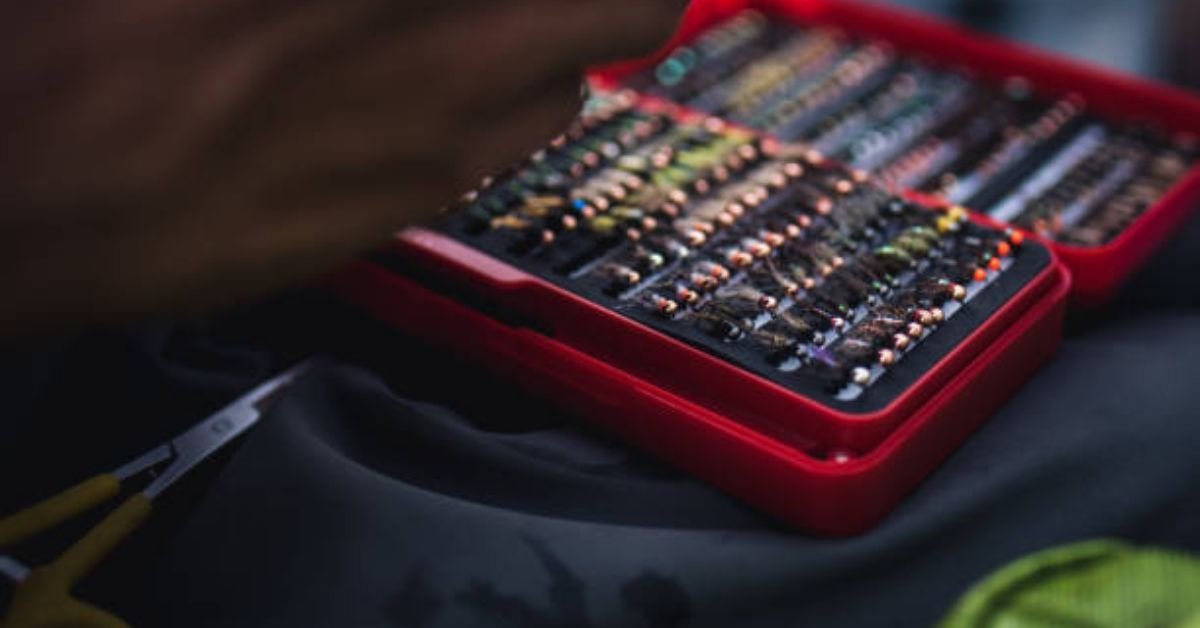 Colebrook Chronicle NH