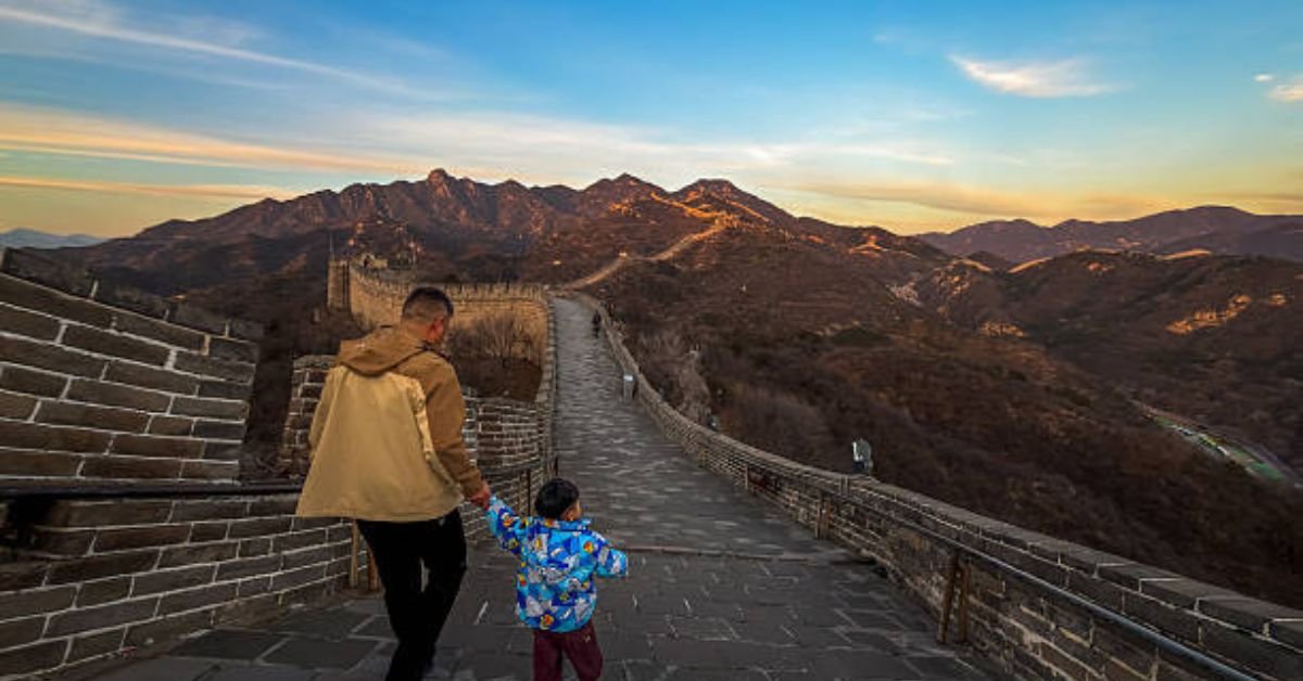 Father Nature Lavash Bistro