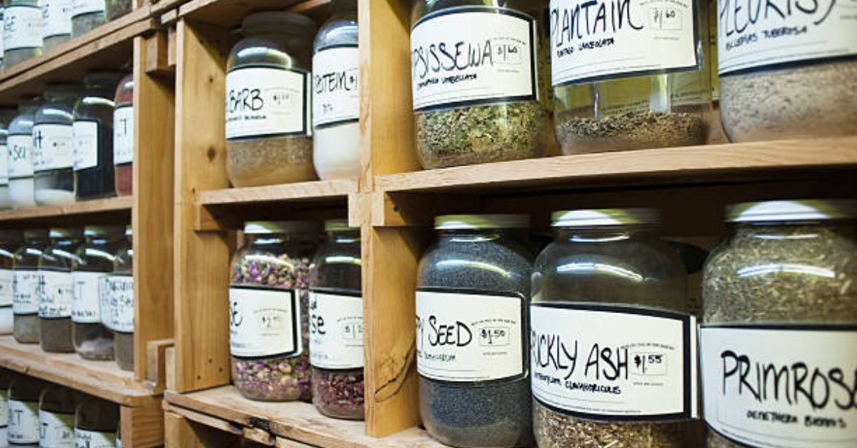 Seed Library Near Me