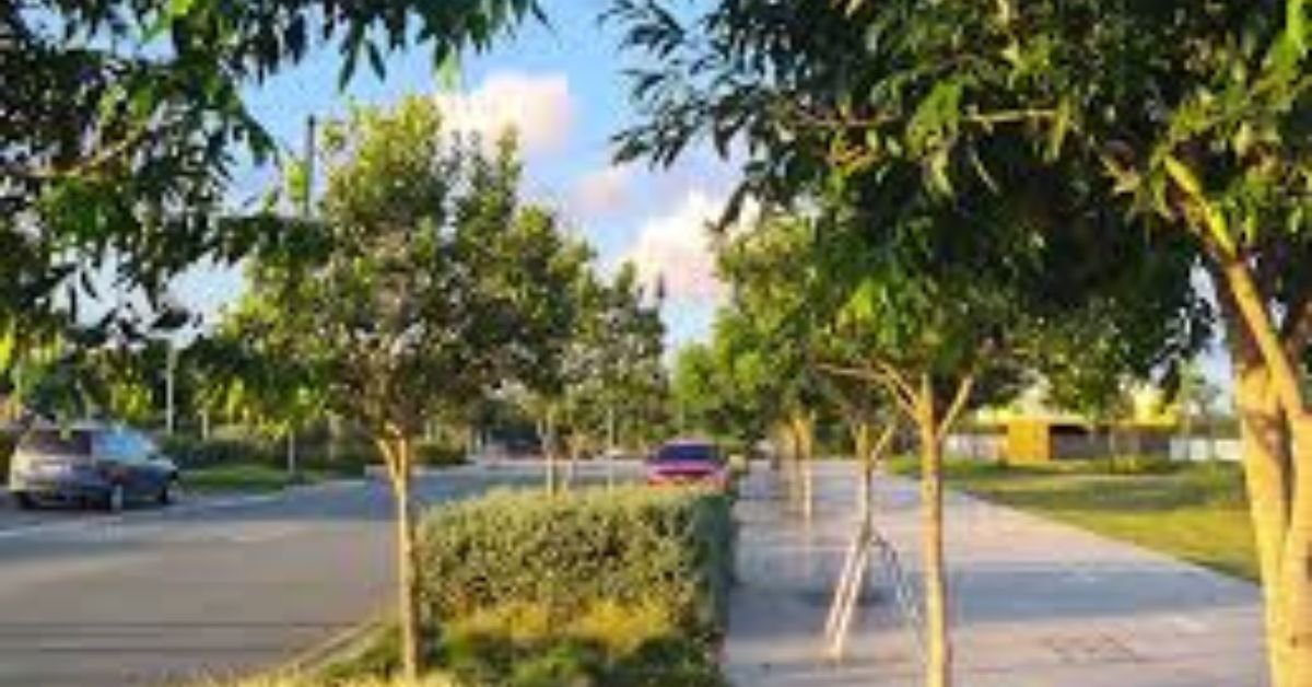 Tree Care for a Healthy Urban Landscape